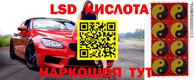 мяу мяу мука Новокубанск