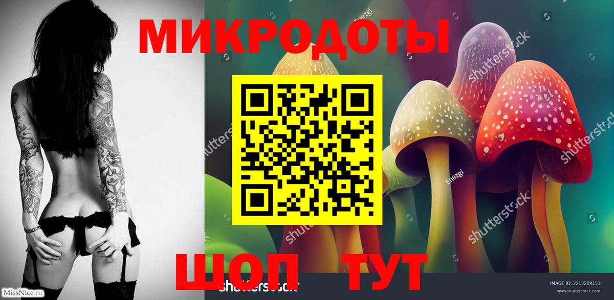 закладка  Вход с VPN  Тавда  Псилоцибиновые грибы мицелий 